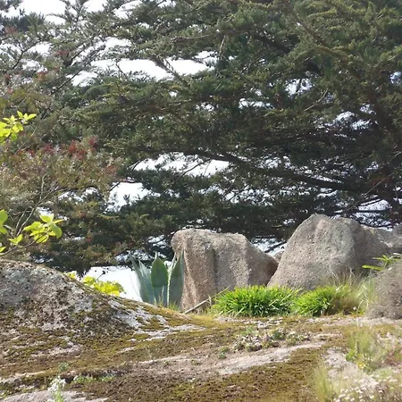 Villa Belle 4 Etoiles Avec Jardin, Wifi A 600m De La A - Ref 137