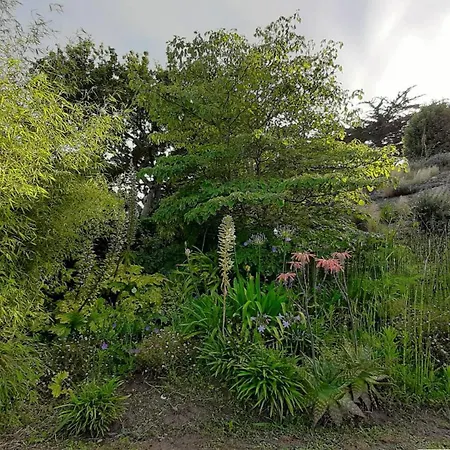 Belle 4 Etoiles Avec Jardin, Wifi A 600m De La A - Ref 137 Villa